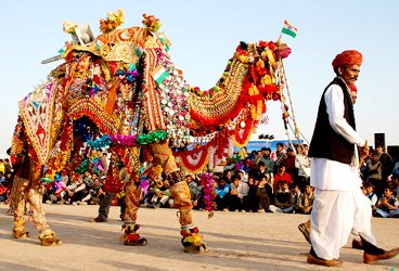 STEPiNN-BIKANER