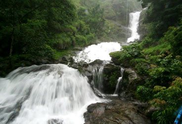 STEPiNN-COORG