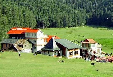 STEPiNN-DALHOUSIE