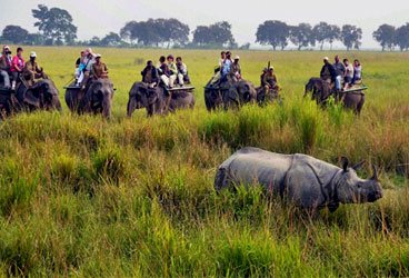 STEPiNN-KAZIRANGA