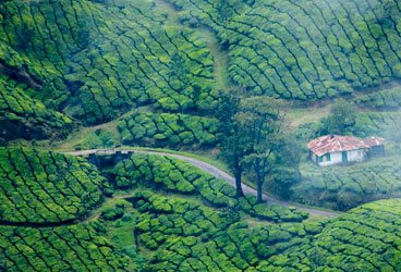 STEPiNN-MUNNAR