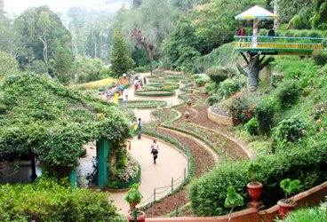 STEPiNN-OOTY