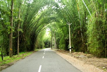 STEPiNN-WAYANAD