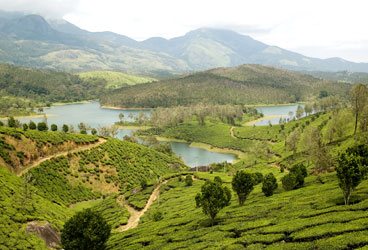 STEPiNN-YELAGIRI